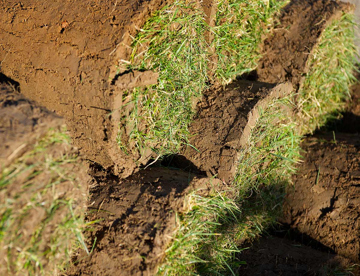 Turf & Lawncare C.B. Winter & Sons