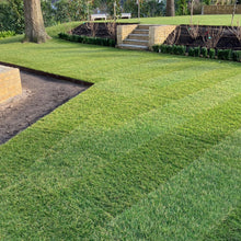 Load image into Gallery viewer, Premier Lawn Turf