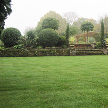 Load image into Gallery viewer, Premier Lawn Turf