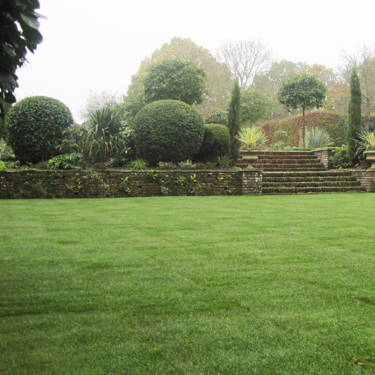 Premier Lawn Turf C.B. Winter & Sons