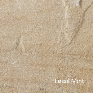 Fossil Mint (per sq/m)